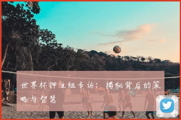 世界杯押注组专访：揭秘背后的策略与智慧