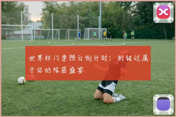 世界杯门票预订倒计时：别错过属于你的绿茵盛宴