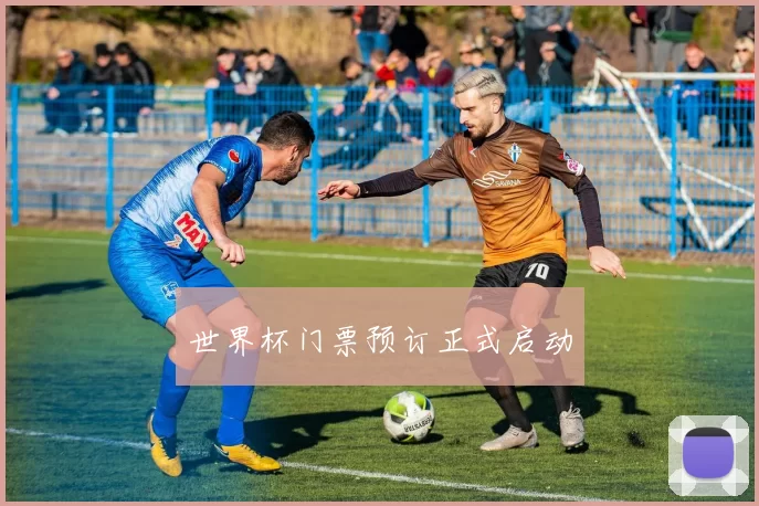 世界杯门票预订正式启动
