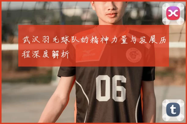 武汉羽毛球队的精神力量与发展历程深度解析