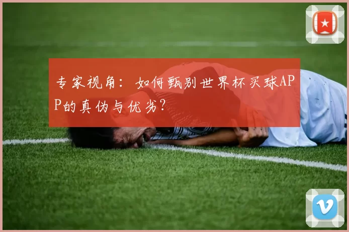 专家视角：如何甄别世界杯买球APP的真伪与优劣？