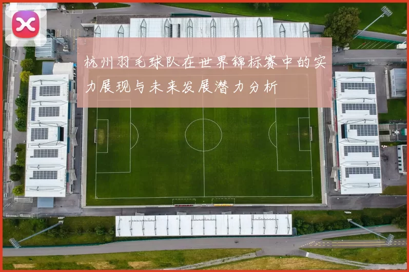 杭州羽毛球队在世界锦标赛中的实力展现与未来发展潜力分析