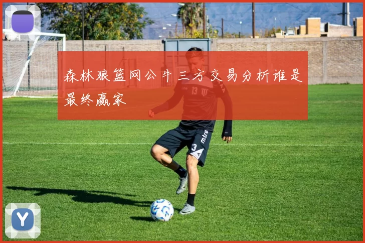 森林狼篮网公牛三方交易分析谁是最终赢家