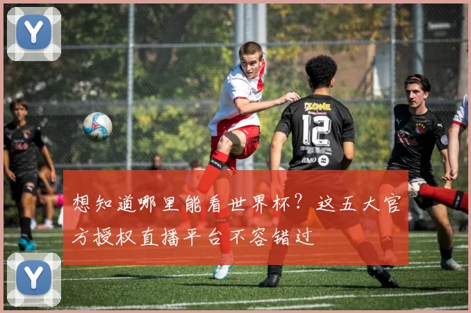 想知道哪里能看世界杯?这五大官方授权直播平台不容错过