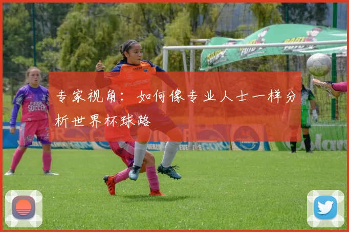 专家视角：如何像专业人士一样分析世界杯球路