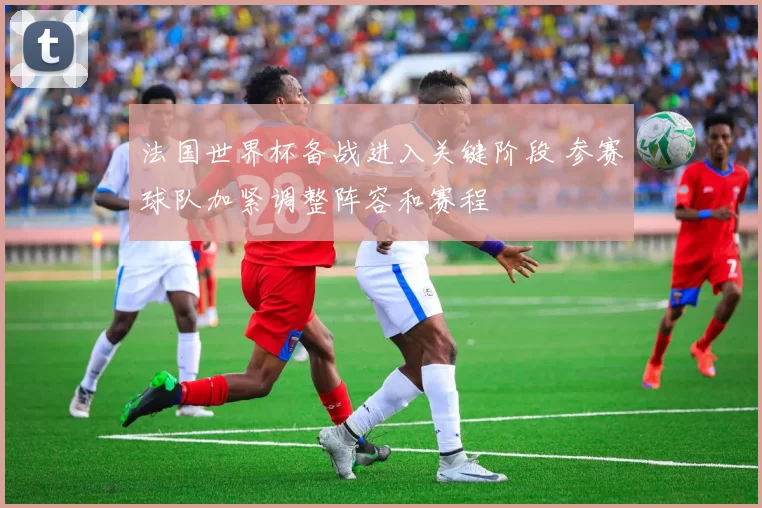 法国世界杯备战进入关键阶段 参赛球队加紧调整阵容和赛程