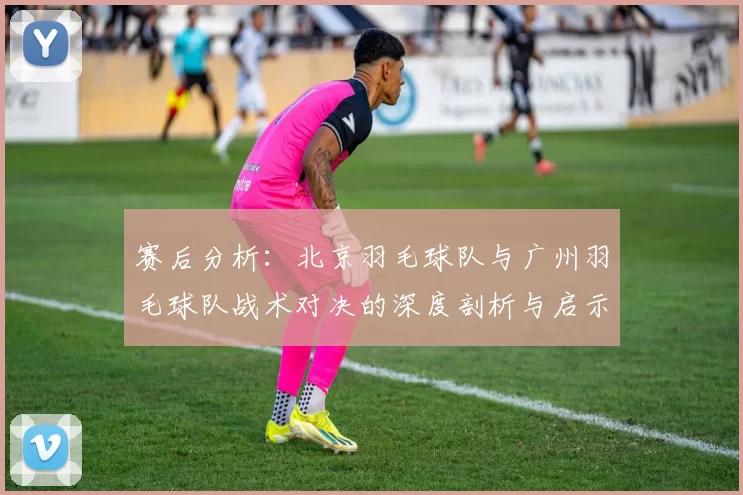 赛后分析：北京羽毛球队与广州羽毛球队战术对决的深度剖析与启示