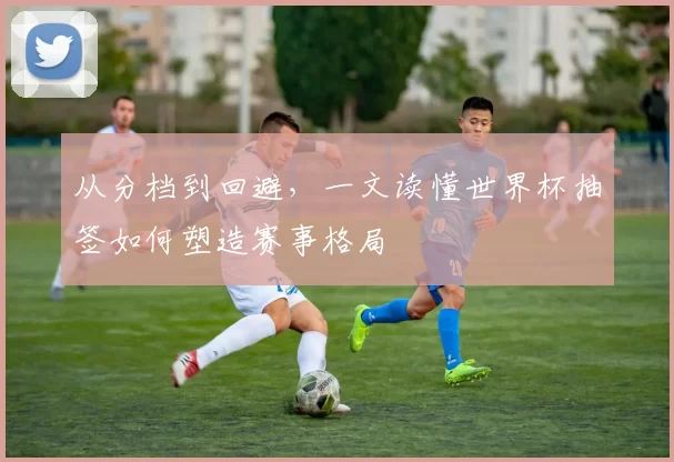 从分档到回避,一文读懂世界杯抽签如何塑造赛事格局