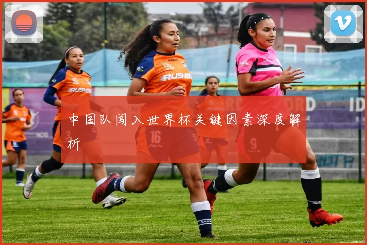 中国队闯入世界杯关键因素深度解析