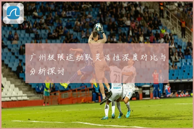 广州极限运动队灵活性深度对比与分析探讨