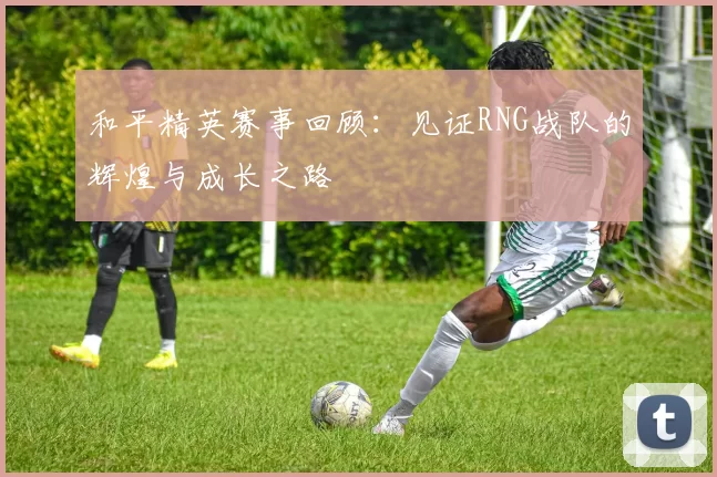 和平精英赛事回顾：见证RNG战队的辉煌与成长之路