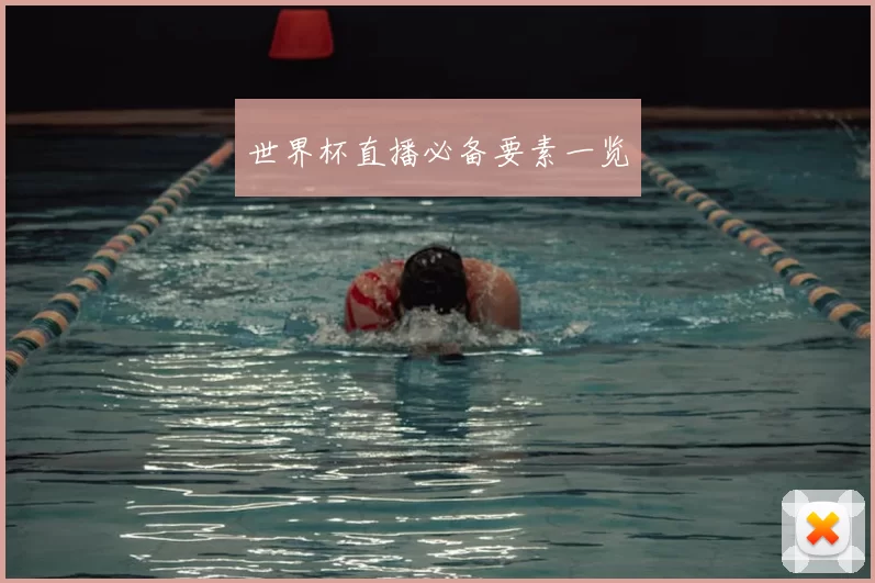 世界杯直播必备要素一览