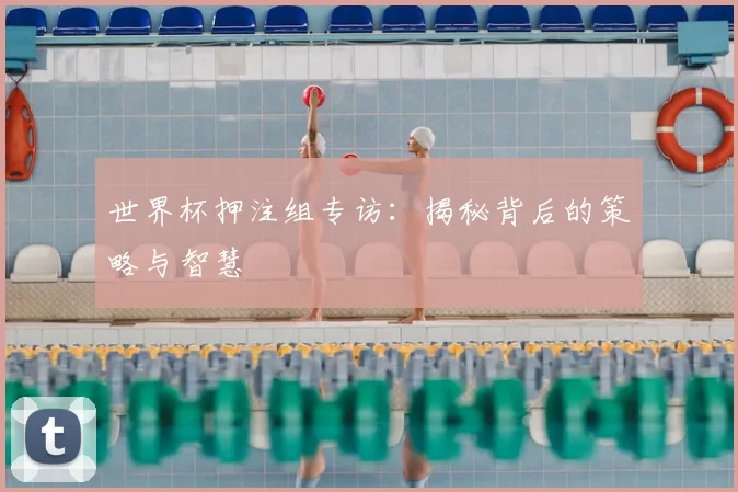 世界杯押注组专访：揭秘背后的策略与智慧
