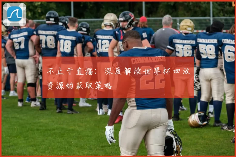 不止于直播：深度解读世界杯回放资源的获取策略
