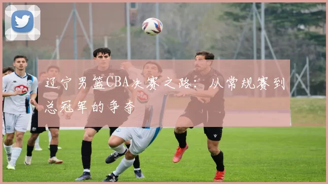 辽宁男篮CBA决赛之路：从常规赛到总冠军的争夺