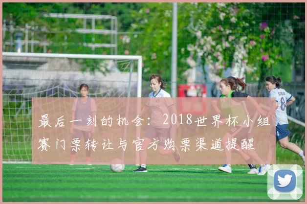 最后一刻的机会：2018世界杯小组赛门票转让与官方购票渠道提醒