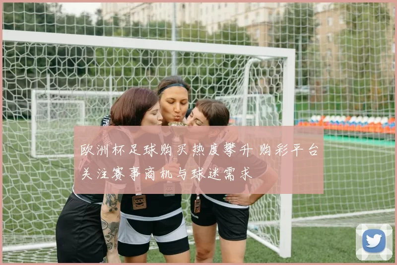 欧洲杯足球购买热度攀升 购彩平台关注赛事商机与球迷需求