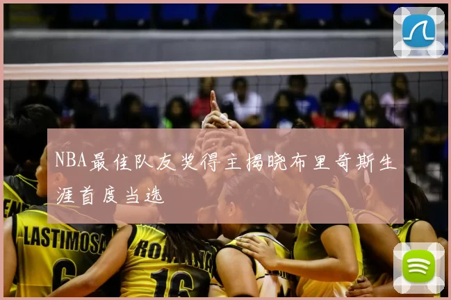 NBA最佳队友奖得主揭晓布里奇斯生涯首度当选